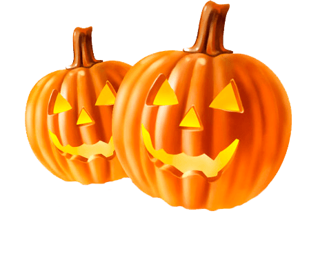 Image of a pumpkin